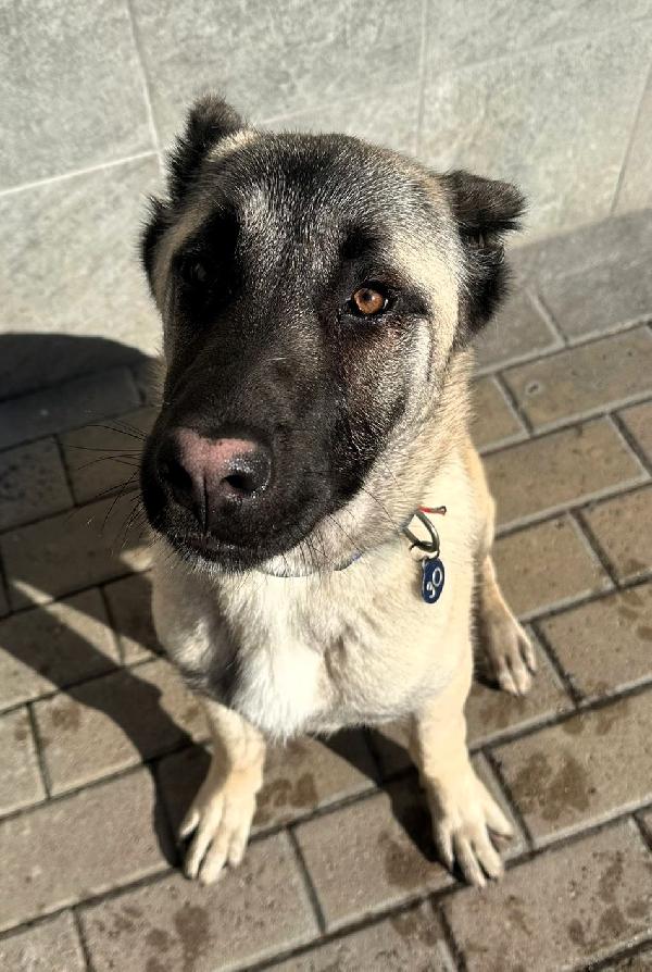 ATHENA KANGAL Foto 3